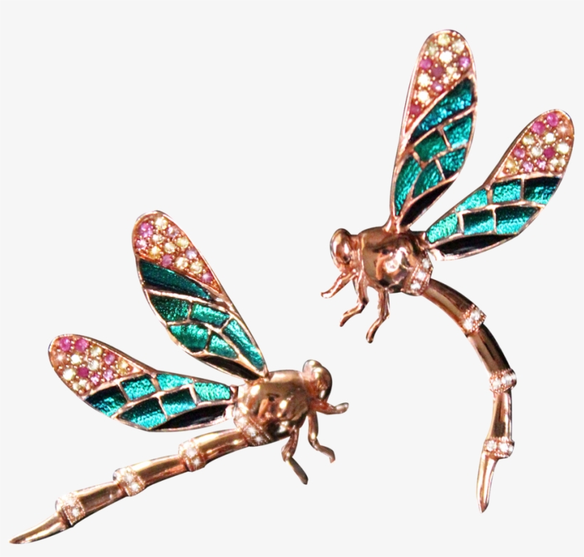 Kuliza's Dragonfly Brooch - Net-winged Insects, transparent png download