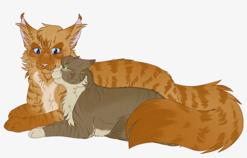 Daily Cats On Tumblr ^^ - Mothwing X Leafpool, transparent png download