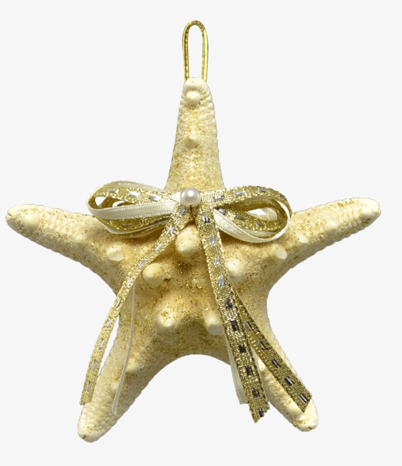 White Knobby Starfish Christmas Holidays Ornament 3-4" - Pendant, transparent png download