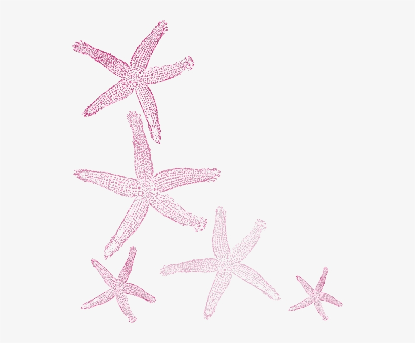 Small - Fish Clip Art, transparent png download