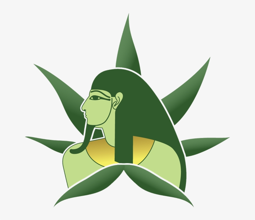 Cbd Capsules Ⓒ - Cartoon, transparent png download