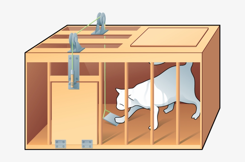Drawing Of A White Cat In A Rectangular Box - Cartoon, transparent png download