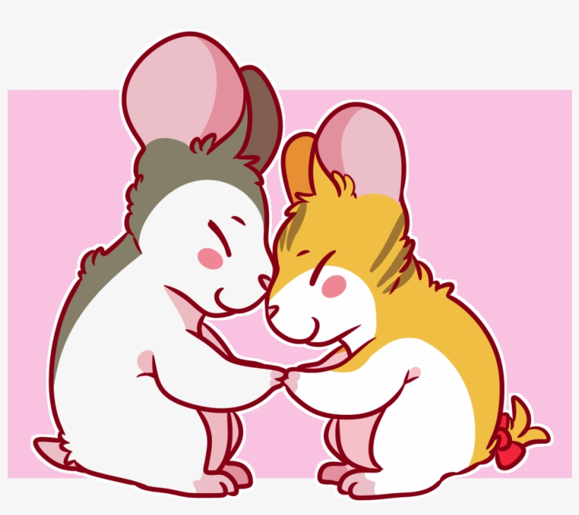 Rainbow Squirrels - Cartoon, transparent png download