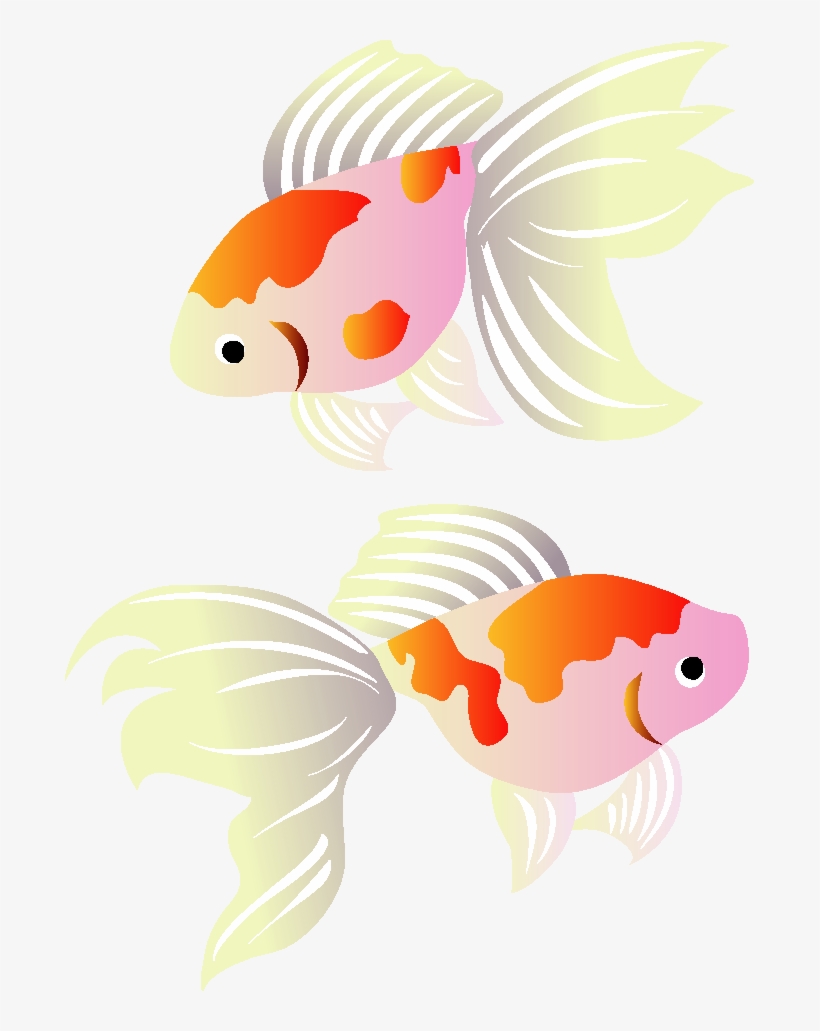 Koi Greeting Illustration Cards Goldfish Post, transparent png download