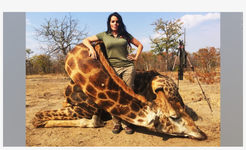 African Dangerous Animals, transparent png download