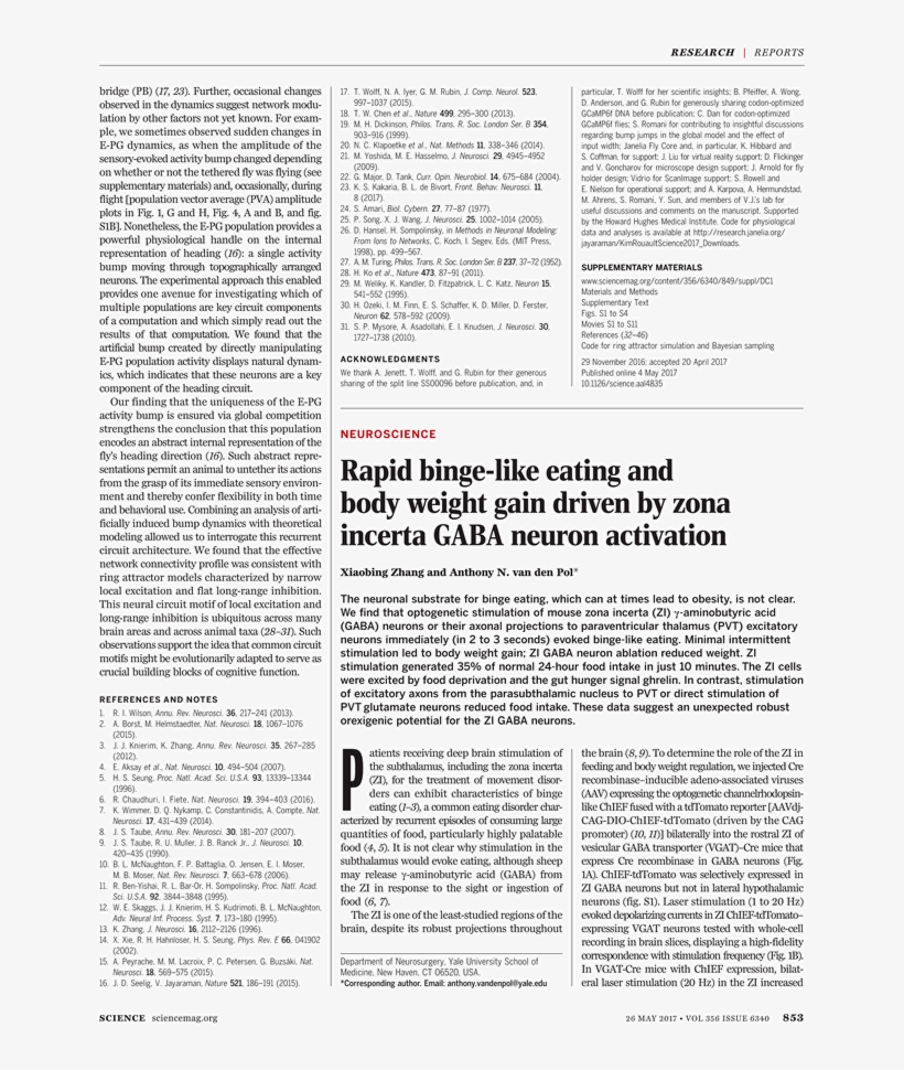 Back Issues - Folio Twenty From Burchard Of Sion's De Locis Ac Mirabilibus, transparent png download