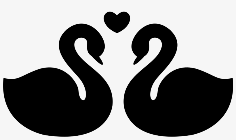 Swans Couple Fidelity Symbol Of Love Comments - Desenho De Pato Preto E Branco, transparent png download