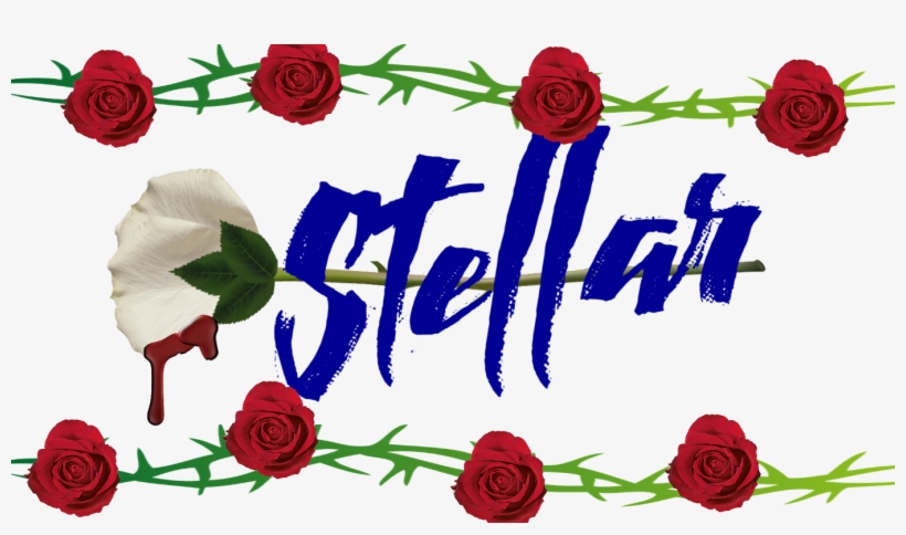 About - Red Rose Top View, transparent png download