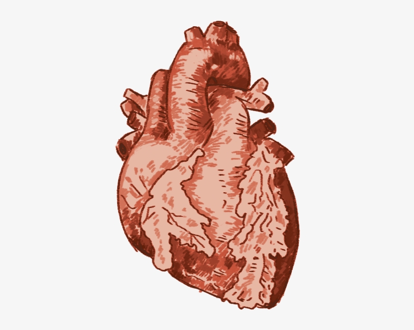 It's A Trick Of The Light, But If She Looks At Just - Illustration, transparent png download