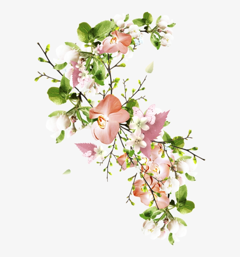 Nono812000 Blog - Side 14 - Nono812000 - Skyrock - - Blog, transparent png download