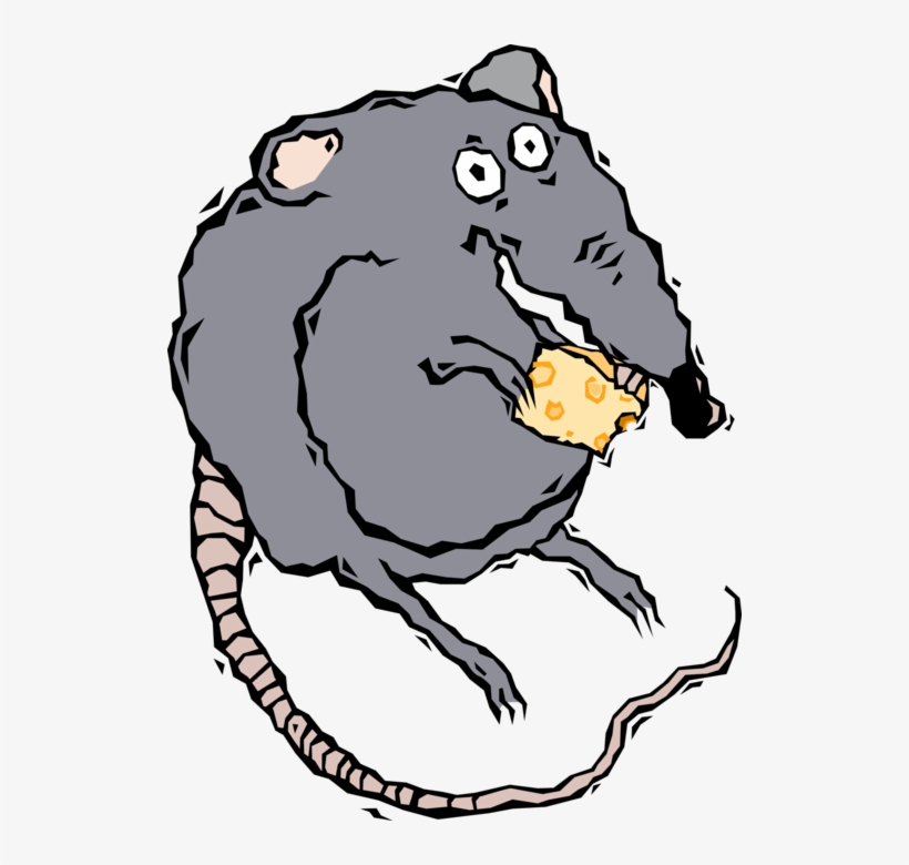 Vector Illustration Of Rodent Rat Eating Cheese, transparent png download