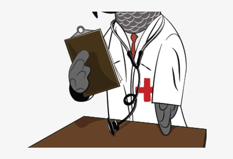 African Grey Parrot Clipart Doctor - Cartoon, transparent png download