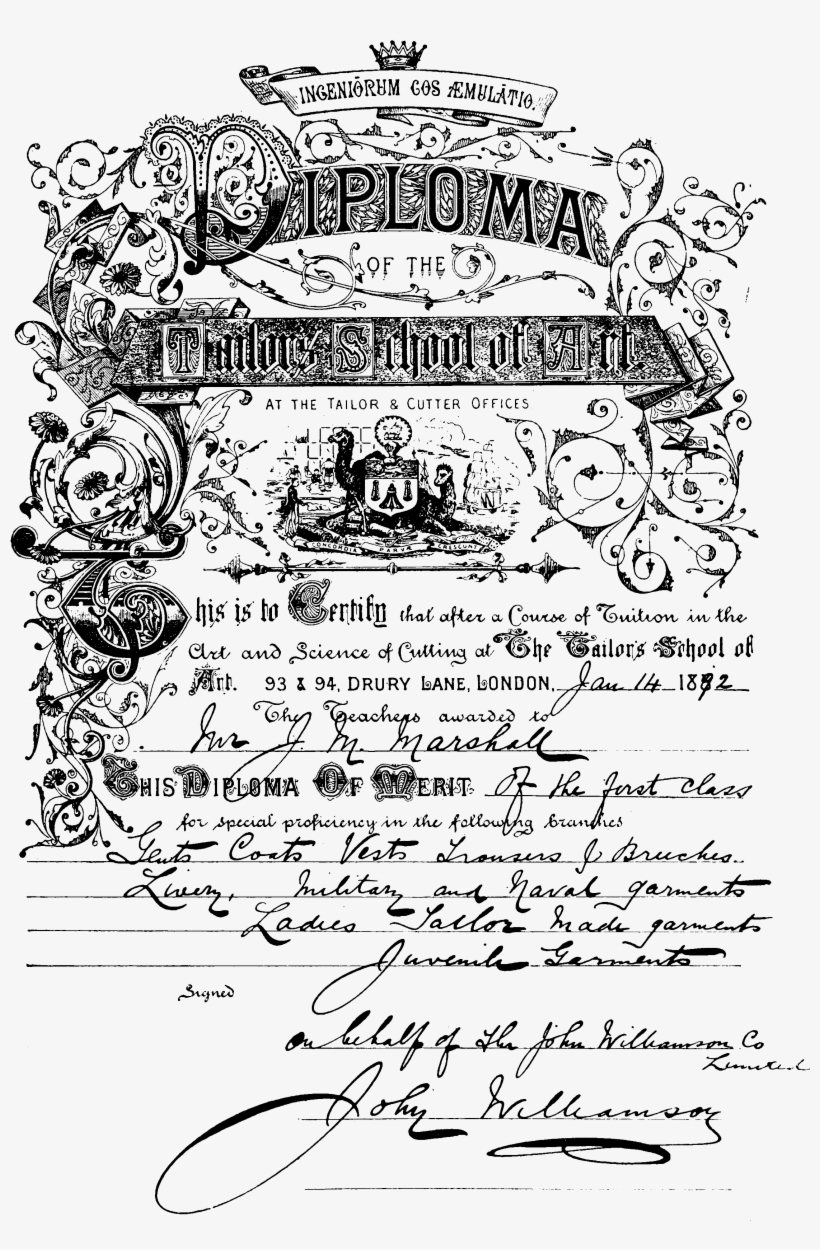 The Cutters' Practical Guide To The Cutting Of Ladies' - Document, transparent png download