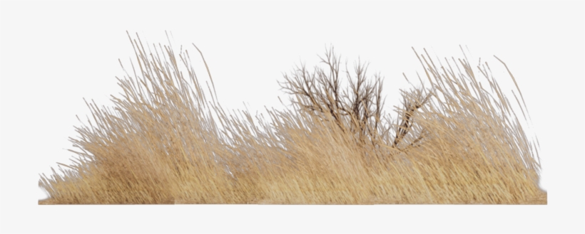 #grass #nature #old #vintage #landscape #brown - Grass, transparent png download