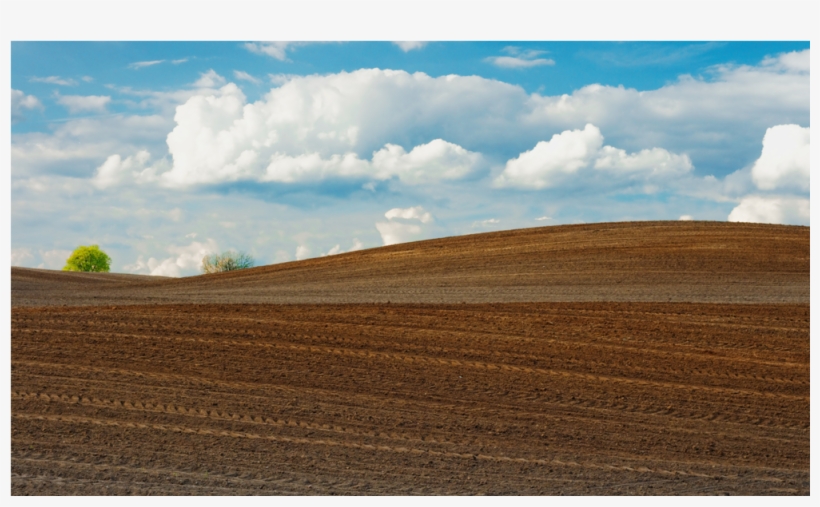 Score 50%, transparent png download