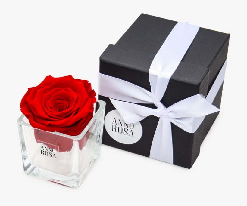 Valentines Day Gift Idea, Valentines Day Gift Idea, - Garden Roses, transparent png download