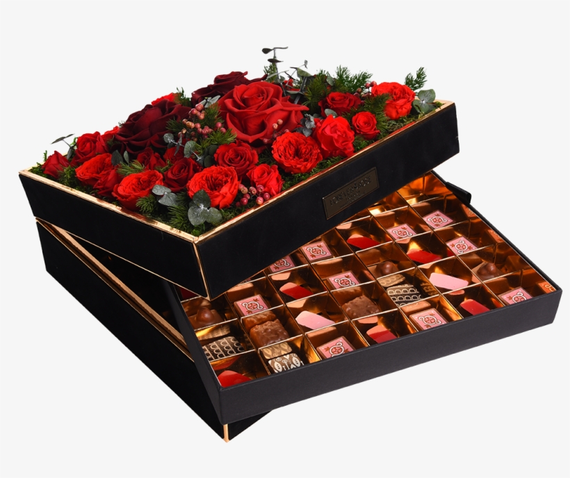Chocolate - Floribunda, transparent png download