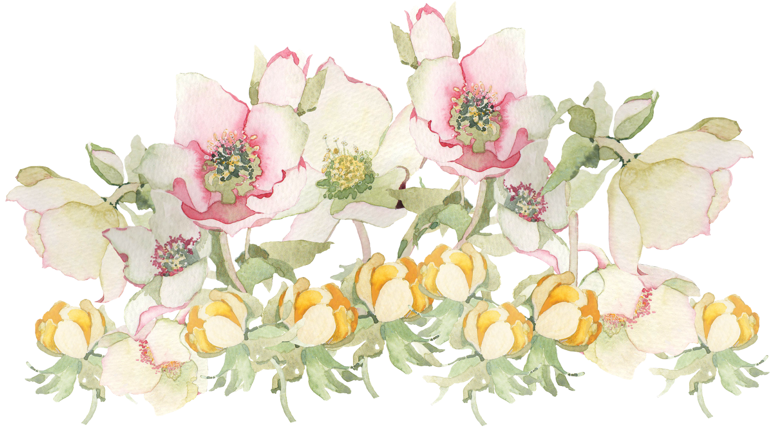 Download HD Painted Flower Png - Flowers Painting Png Transparent PNG