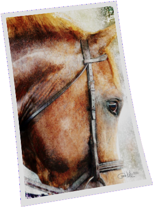 The English Sport Horse Watercolor - Sorrel (493x493), Png Download