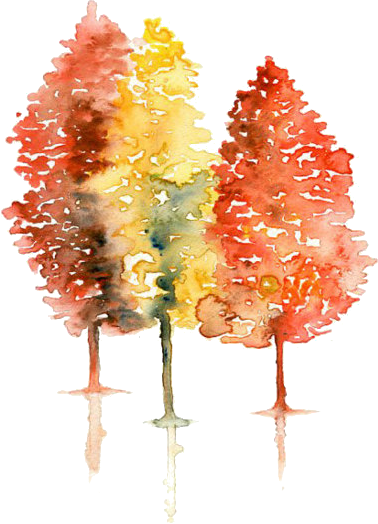 Tumblr Inline Mrq122cvuq1qz4rgp - Watercolor Fall Tree (378x524), Png Download