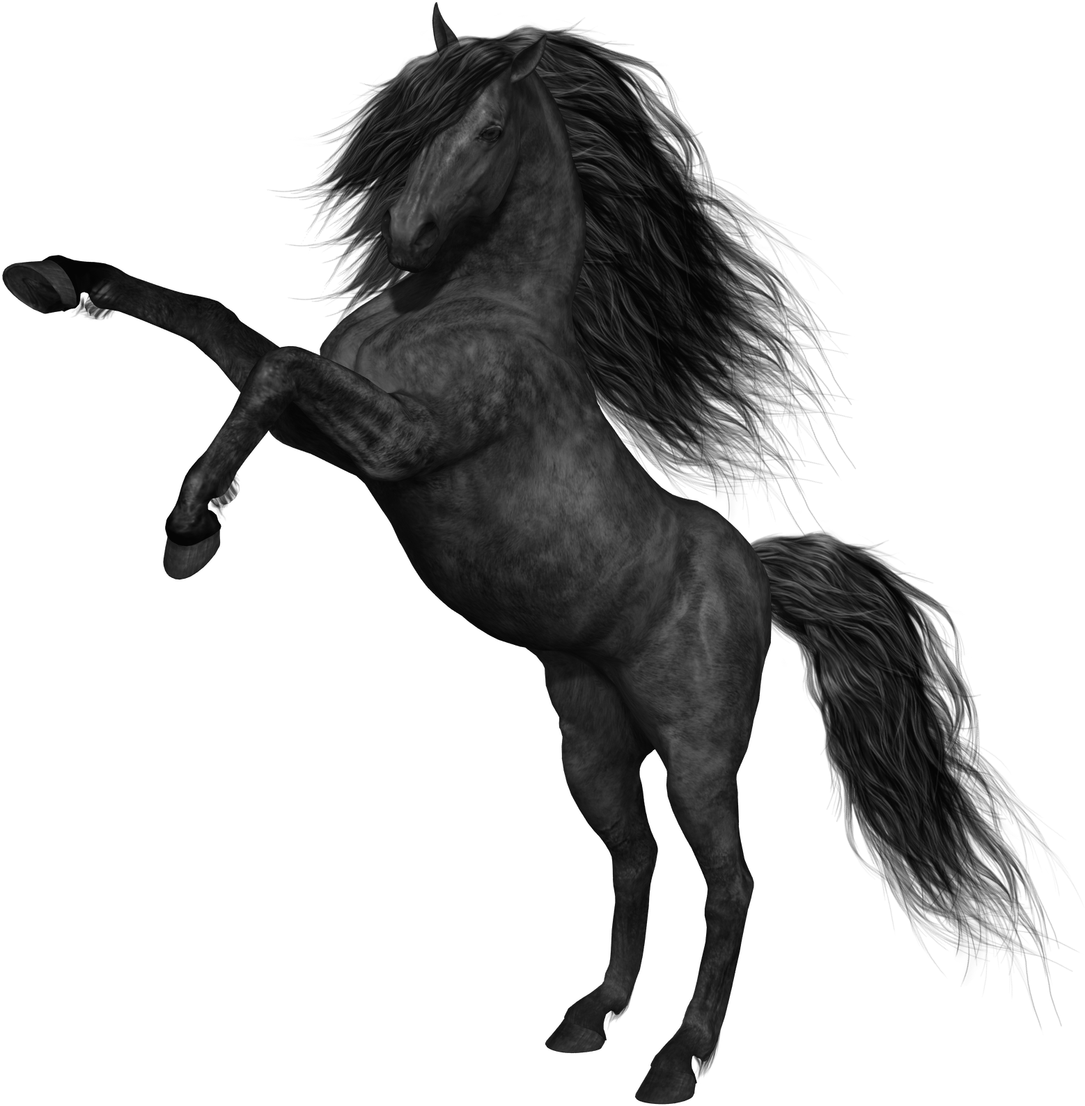 Black Horse Png Picture - Horse Png Images Hd (588x600), Png Download