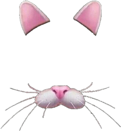 Crown Transparent Transparent Crown Tumblr - Filter Cat Png (478x477), Png Download