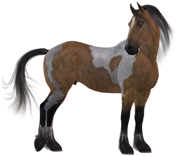 Horse Colorful Brown Mane White Animal Mou - Horse (418x340), Png Download