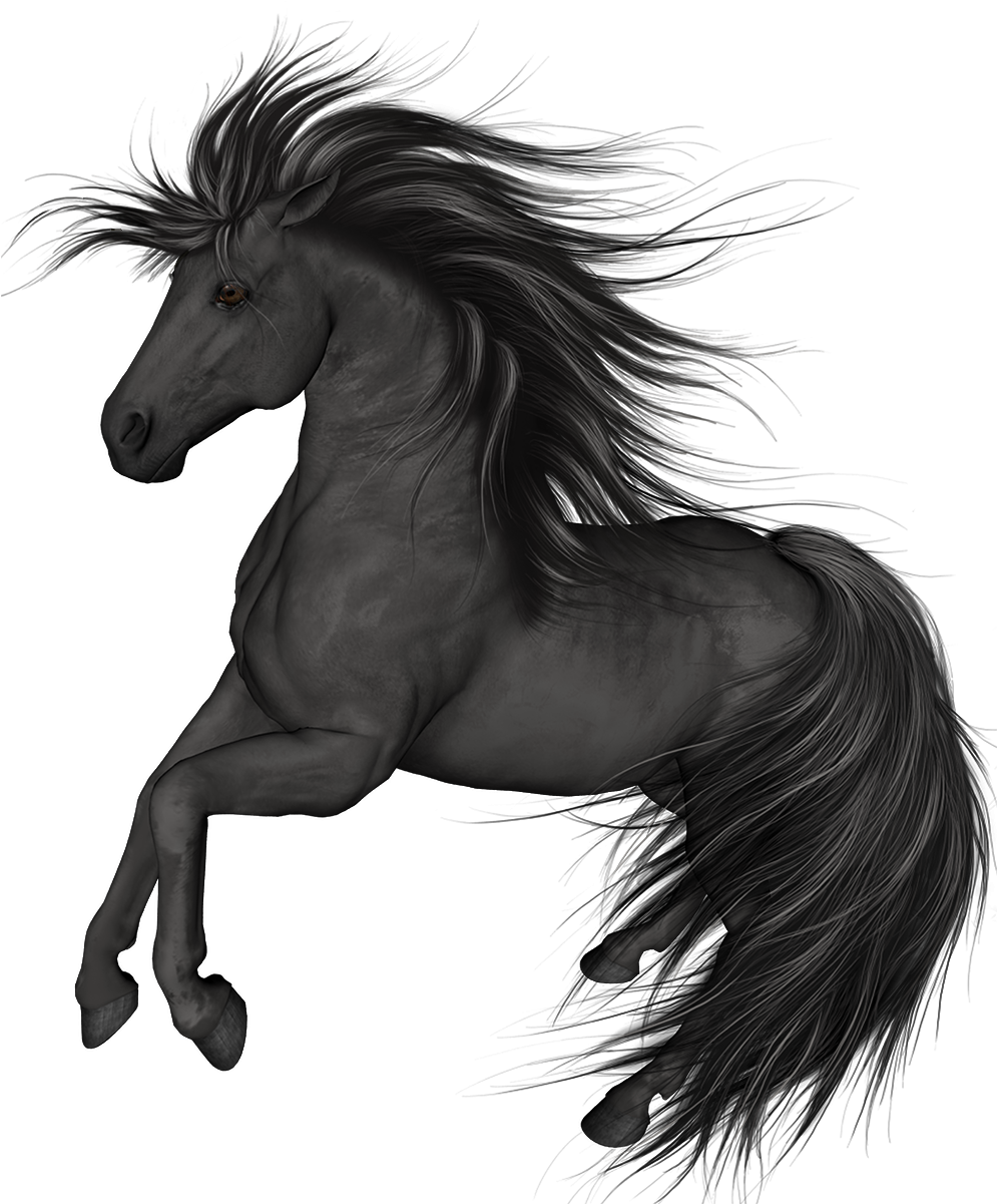 Black Horse Png Clip Art - Black Horse Png (1042x1246), Png Download