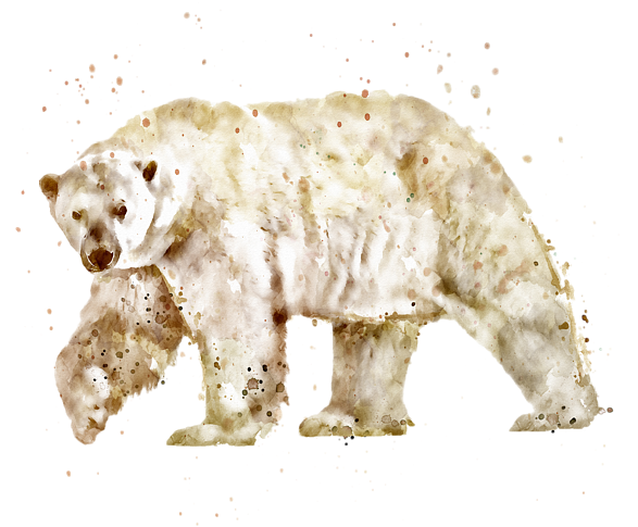 Polar Bear Watercolor Marian Voicu Transparent - Watercolor Painting (600x600), Png Download