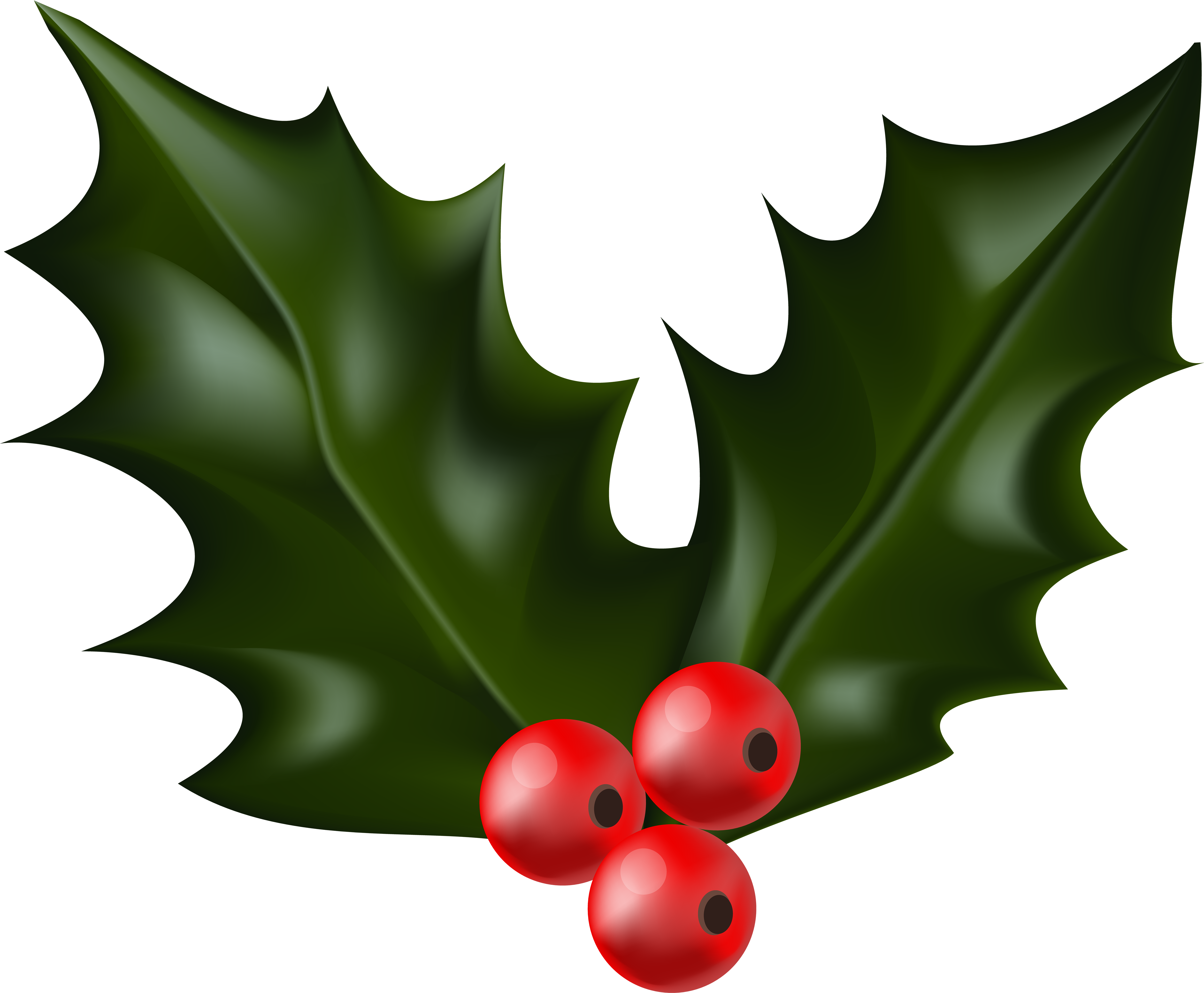 Image Library Stock Christmas Holly Png Clip Art Gallery - Christmas Holly (6000x4982), Png Download