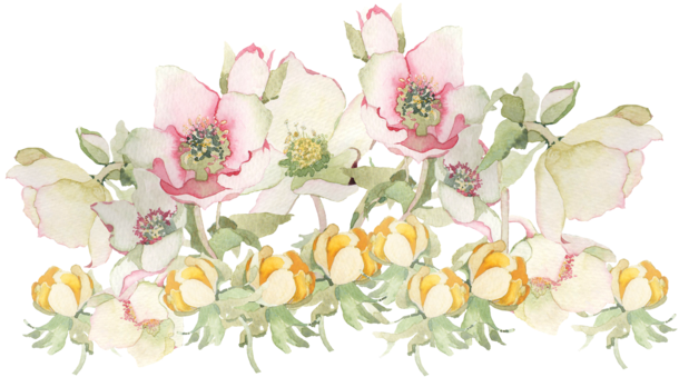 Transparent Artsy Tumblr Pink Rose Pretty Png Transparent - Flowers Painting Png (640x360), Png Download
