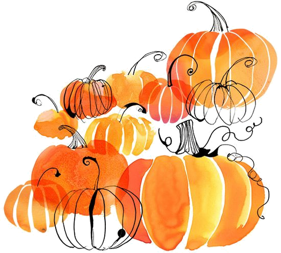 Jpg Free Pumpkin Watercolor Painting Clip - Pumpkin Illustration (571x514), Png Download