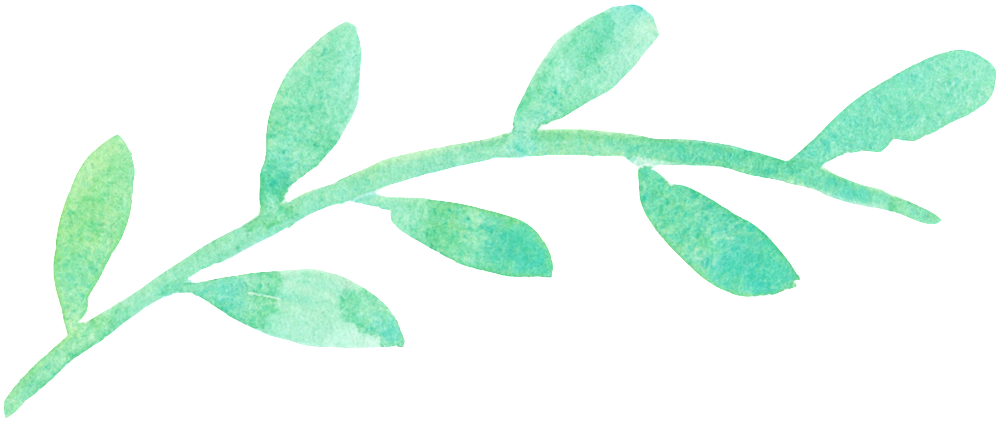 This Graphics Is Watercolor Green Leaf Transparent - Png Clipart Flower Calligraphy (1024x439), Png Download