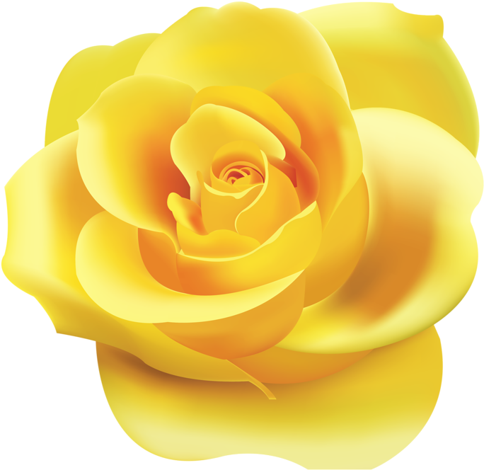 Png Roses - Yellow Rose Clipart Png (800x763), Png Download