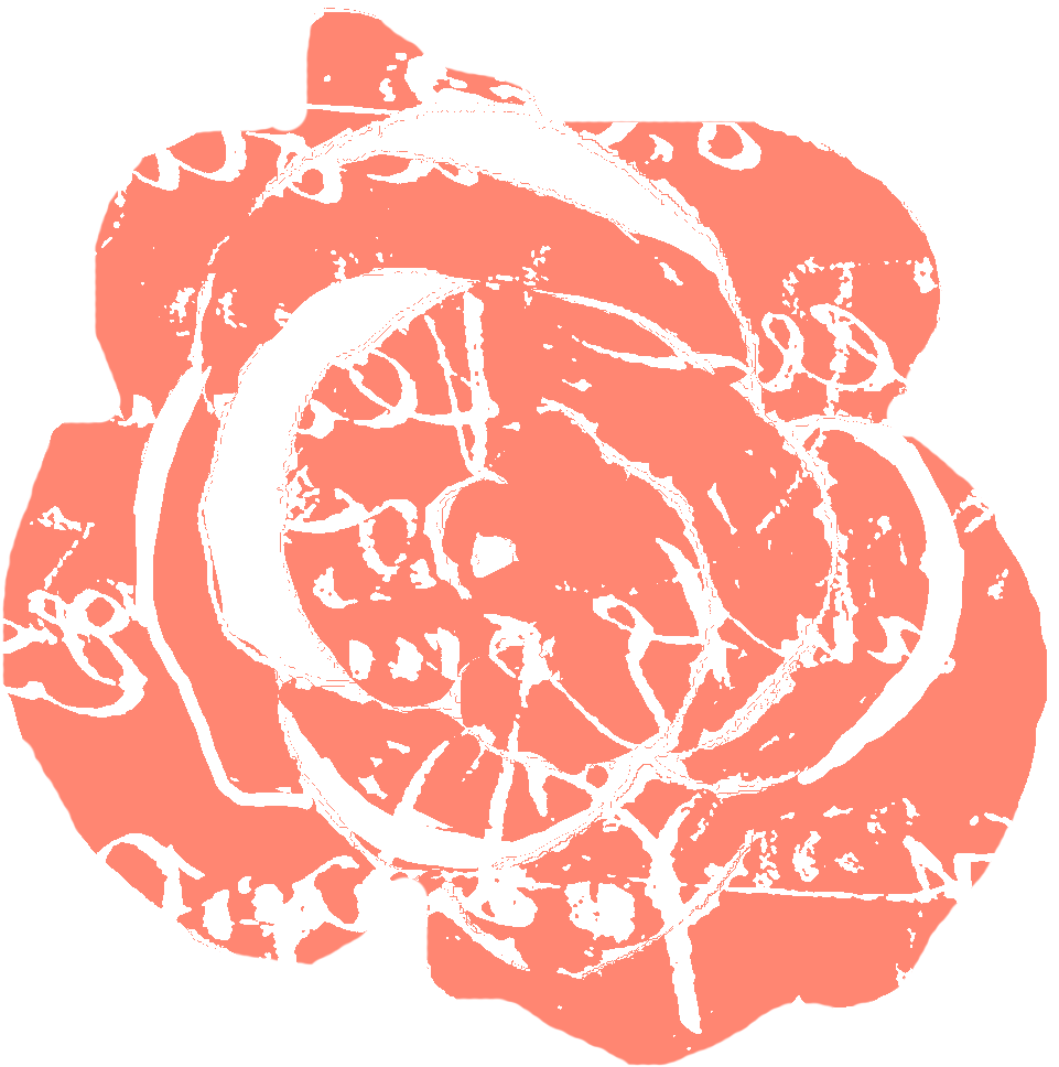 A Scrapbook Of Inspiration - Coral Color Png (1200x1200), Png Download