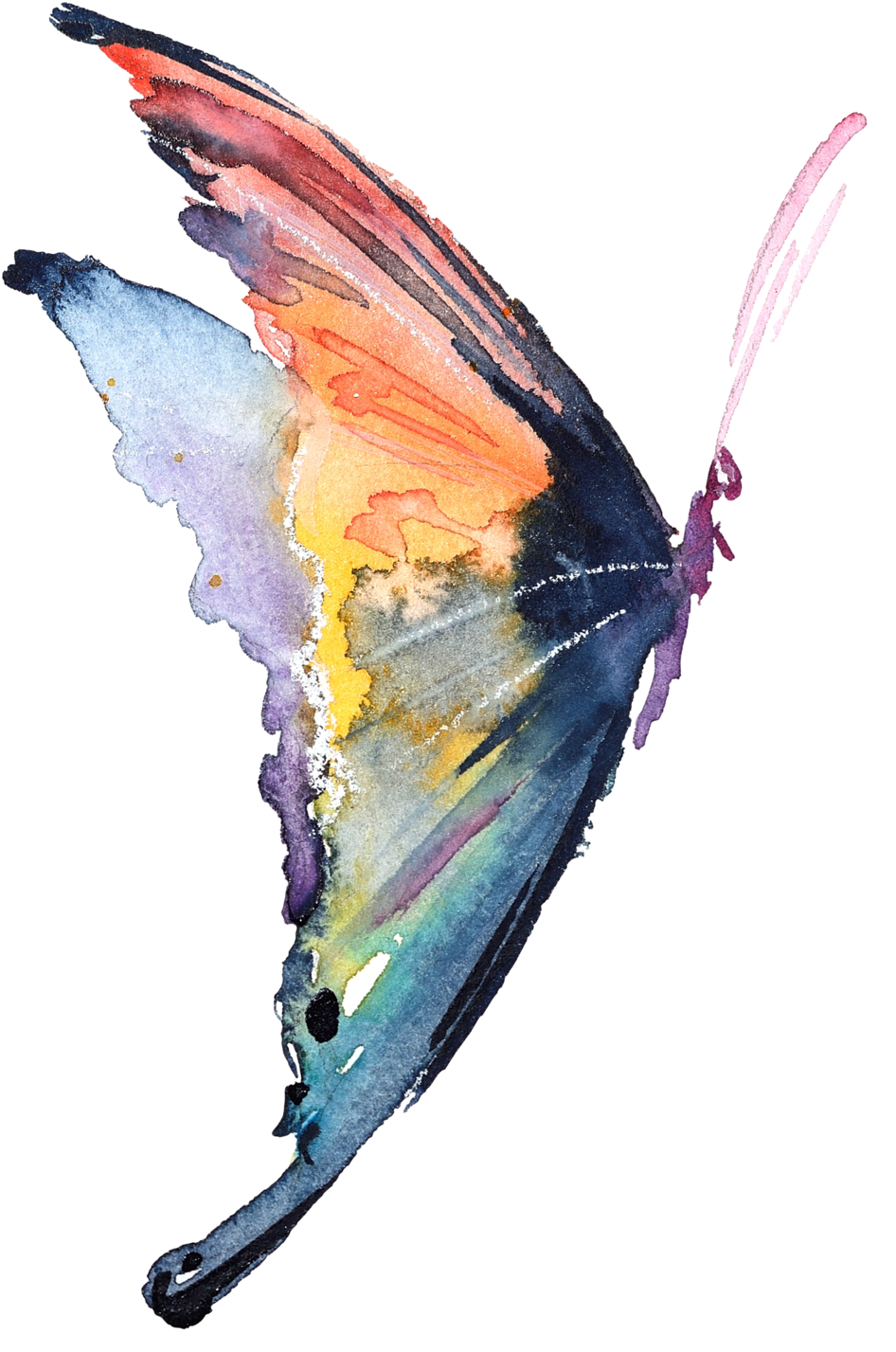 Watercolor Butterfly Png - Watercolour Butterfly Illustration Png (1000x1482), Png Download