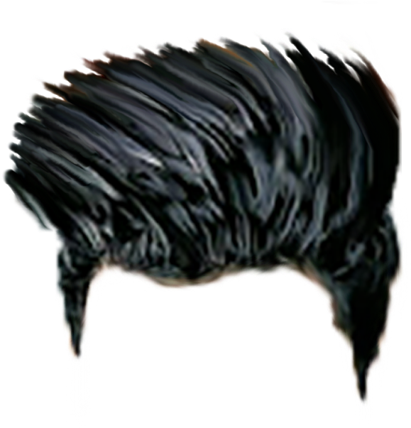 Download Hair, Hair Png, Image Archive, Free Hair, - Download More Hair Png (1456x1600), Png Download
