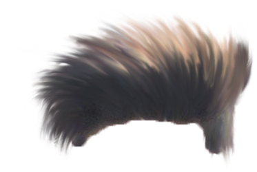 Download Hd Hair Png Hd Download Transparent Png Image Nicepng Com