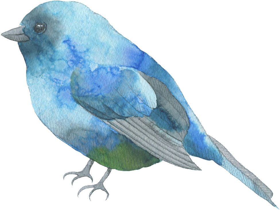 Blue Feather Bird Watercolor Transparent Decorative - Blue Bird Journal [book] (1024x785), Png Download