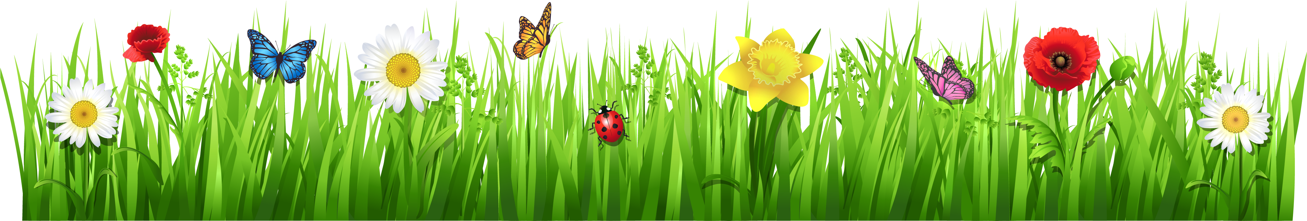 28 Collection Of Garden Clipart Transparent (4335x972), Png Download