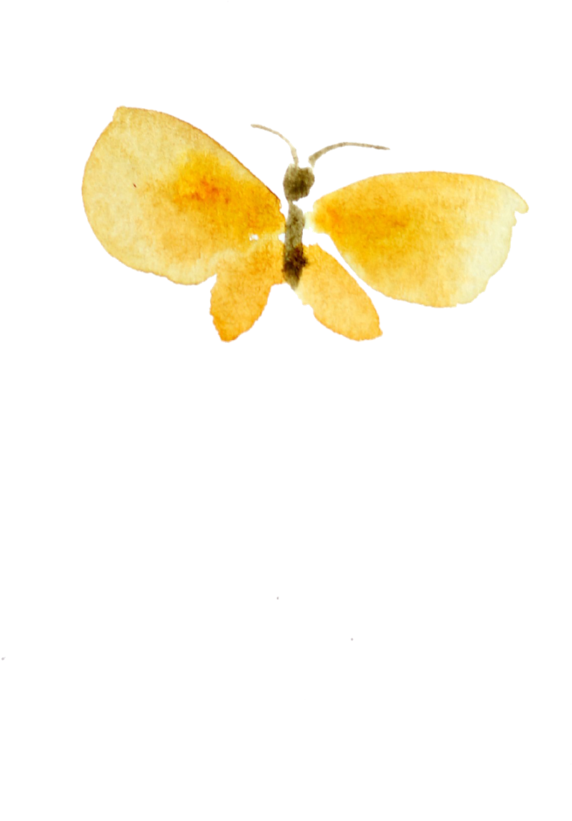 Watercolor Butterflies - Gonepteryx Rhamni (1066x1600), Png Download