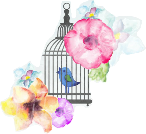 Watercolor Flowers Bird Cage (502x462), Png Download