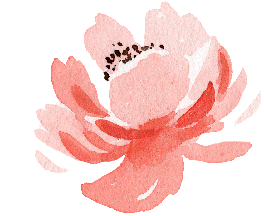 Pink Flower Watercolor Hand Painted Transparent - Watercolor Painting (1024x1024), Png Download
