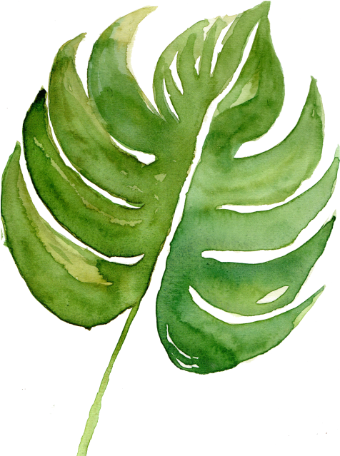 Watercolor Painting (500x638), Png Download