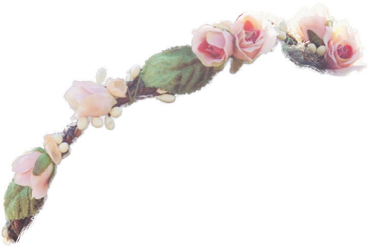 Flower Crown Transparent - Small Flower Crown Png (807x807), Png Download