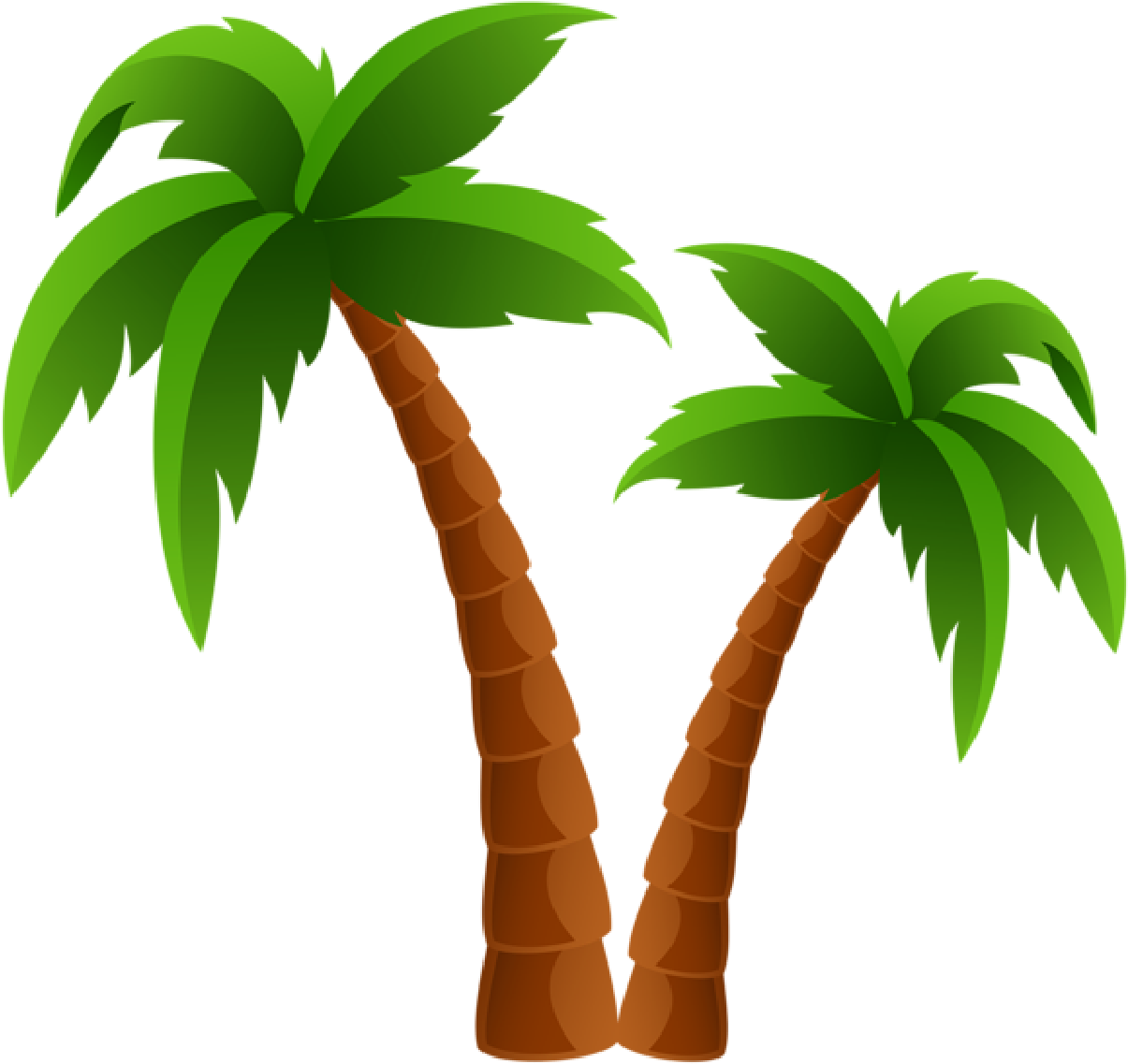 Two Palm Trees Png Clipart Image - Palm Tree Clipart Transparent (600x566), Png Download