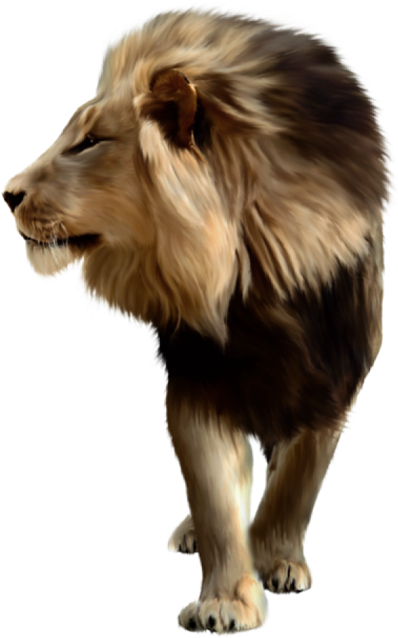 Lion Png Free Download - Lion Png For Picsart (600x952), Png Download
