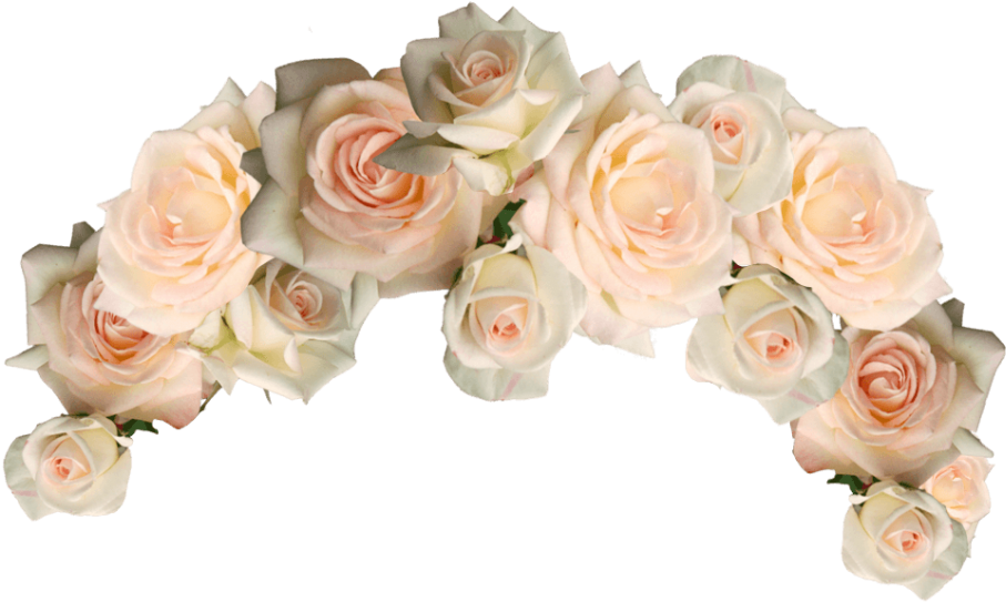Flower Crown Png Photo - White Flower Crown Png (1024x614), Png Download