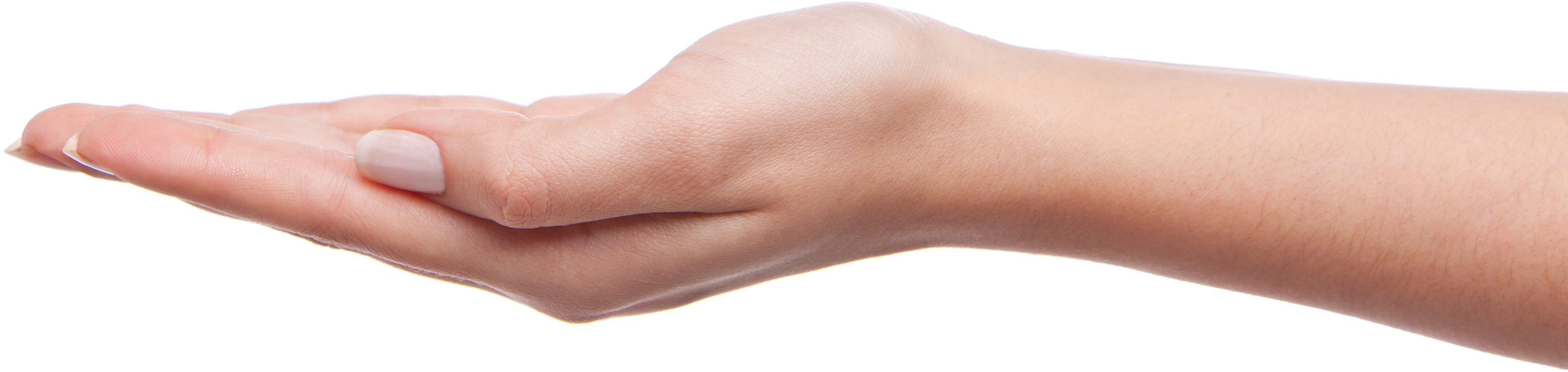 Best Free Hands Transparent Png Image (3579x917), Png Download