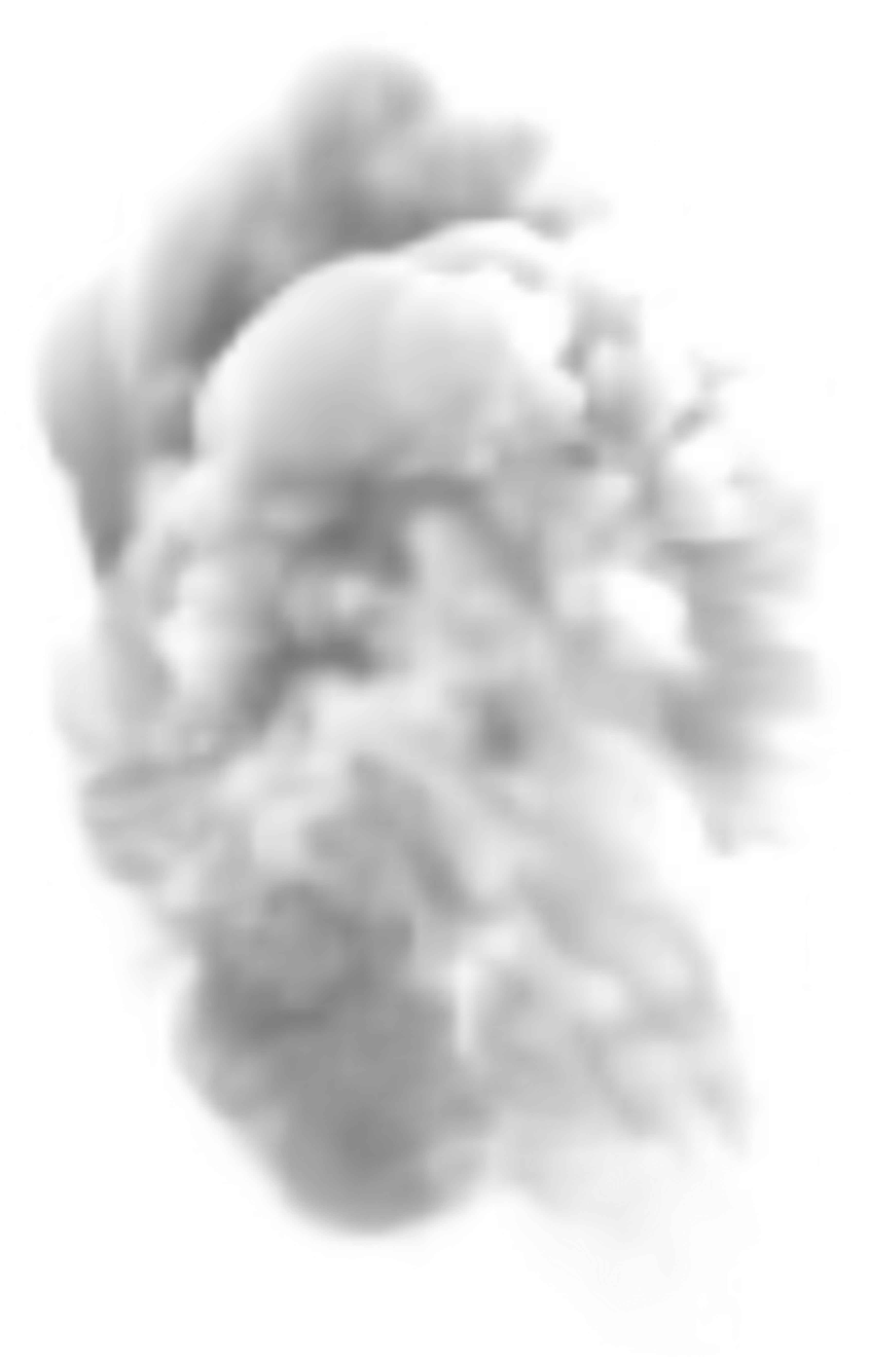 Smoke Transparent Png Clipart Image - White Smoke Clipart Png (3942x5833), Png Download